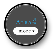 Area4